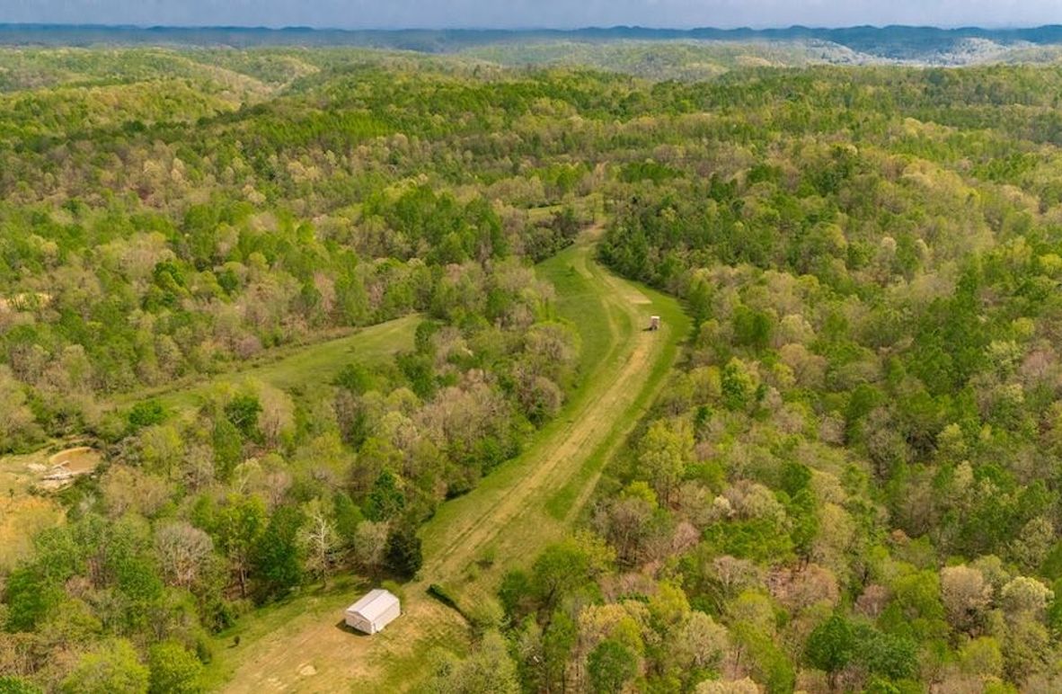 10-web-or-mls-1103 Johnny Spears Rd-13