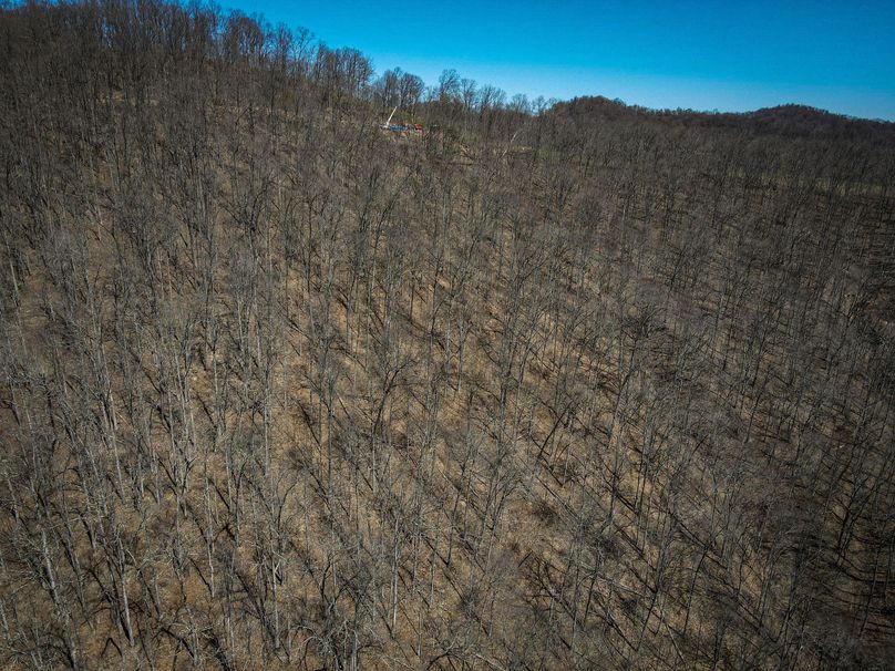 dji_fly_20230410_130912_613_1681146563236_photo