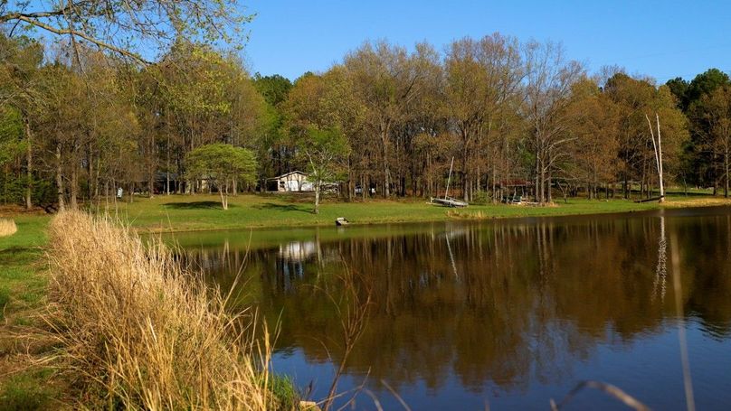WILLIAMSON, IL 65.00_01_13_19.Still010