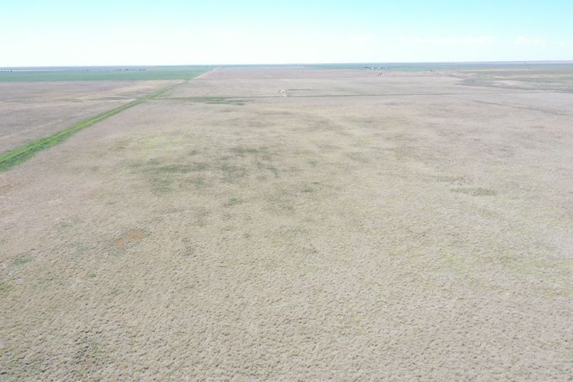 DJI_0656