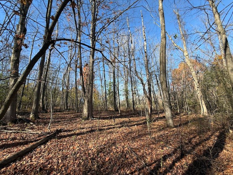 Wayne_18.11_Koehler Photo 12