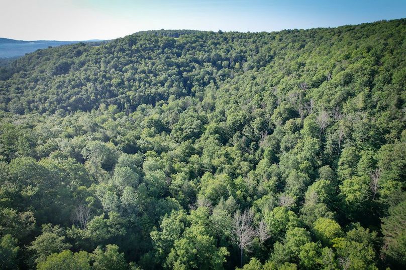 Tioga_82.5_Williams_Photos_32