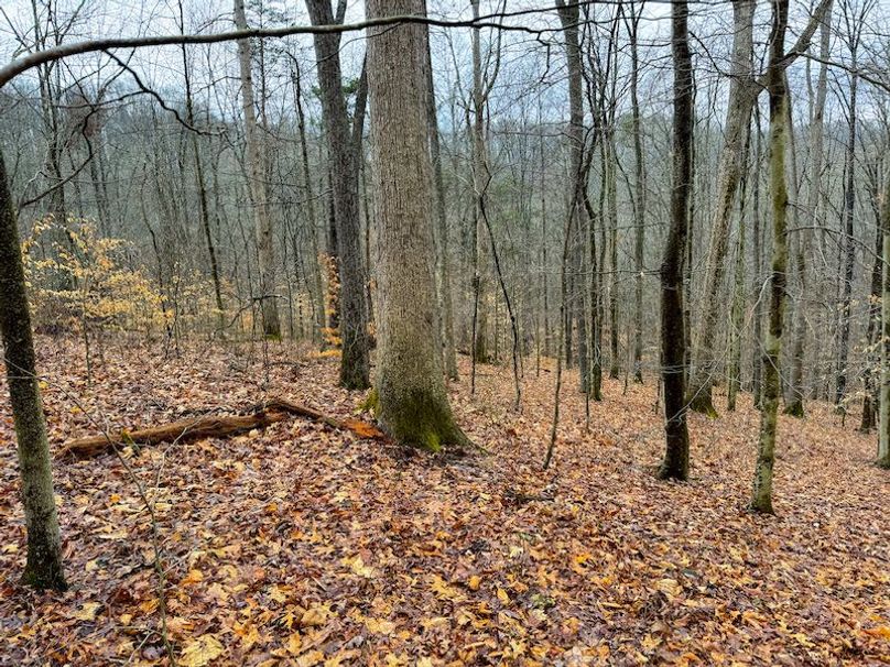 Ritchie, WV 64 AC Hall New Pics-23