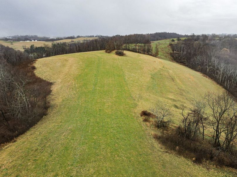 dji_fly_20240306_104538_867_1709739950615_photo