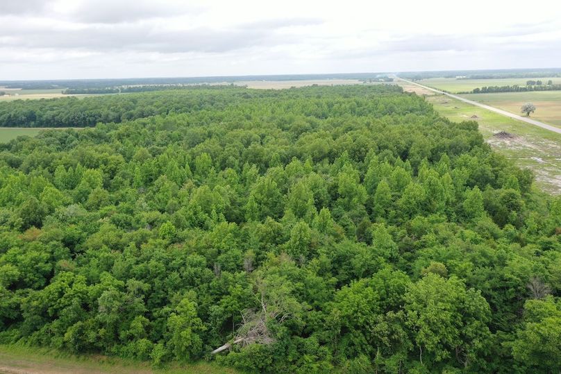 DJI_0867