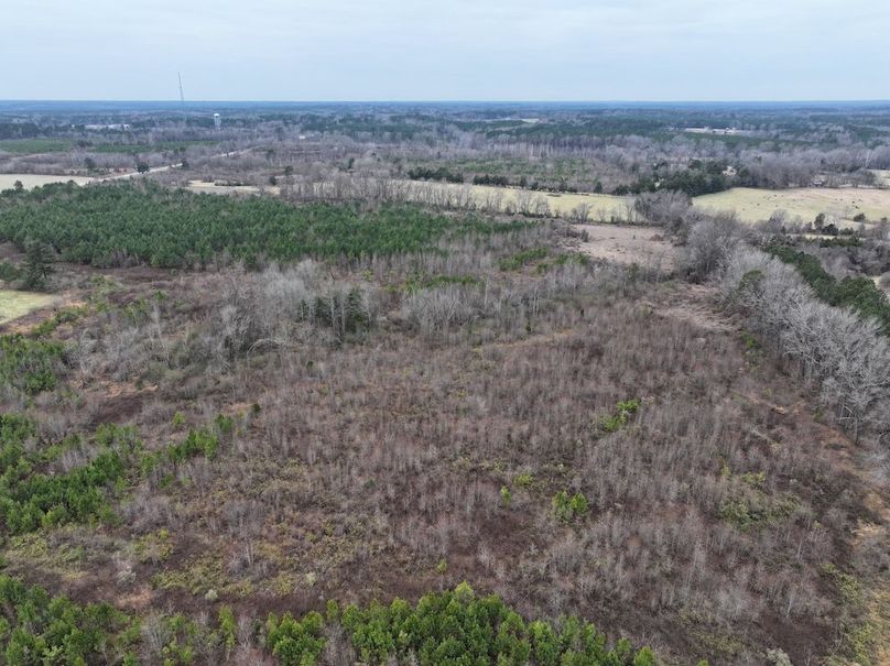 Copy of dji_fly_20251224_113410_0209_1767705717815_photo