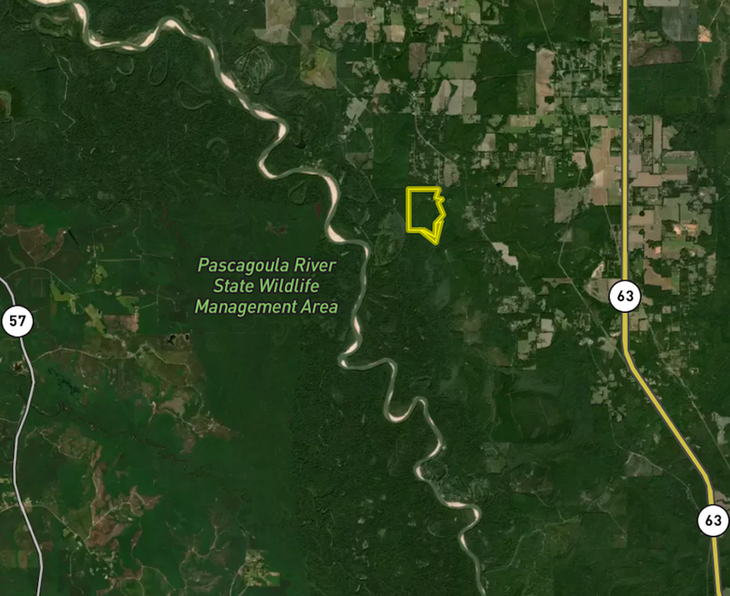 Screen Shot 2024-05-13 at 10.38.18 AM