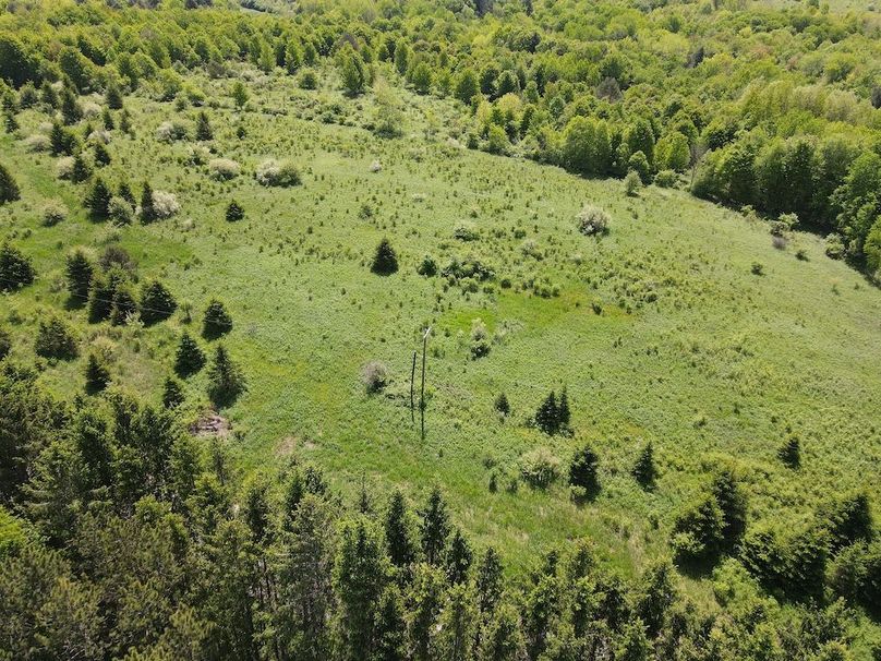 DJI_0409