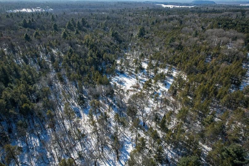 Adams 25, Nessler -09