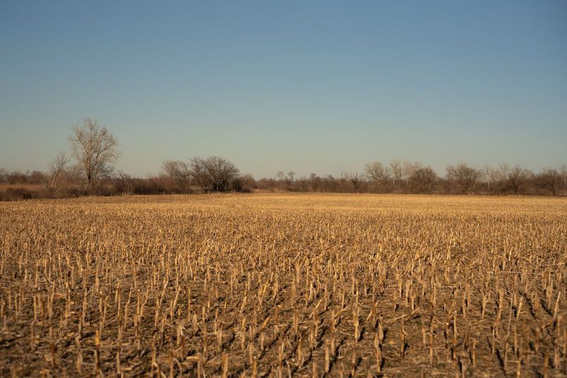 FREMONT CO. IA 31.48 +_-_28