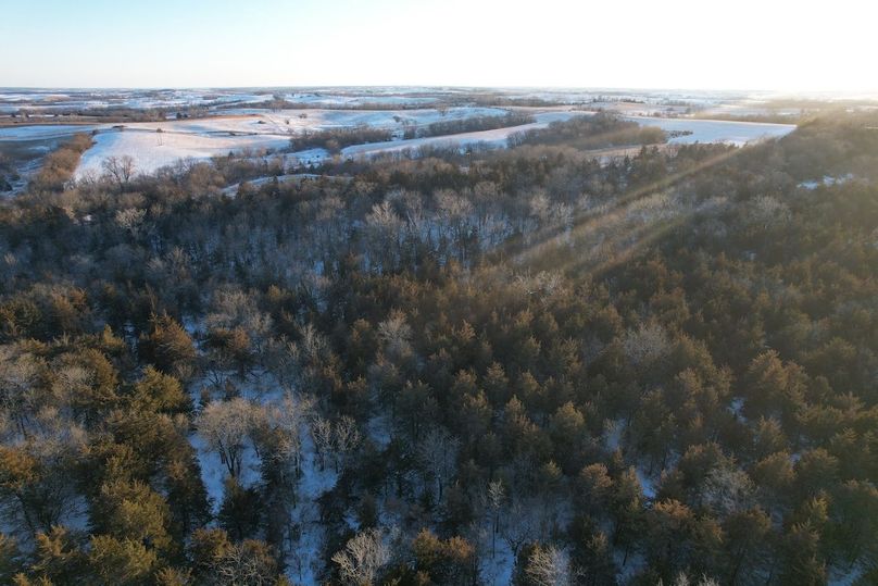 DJI_0501