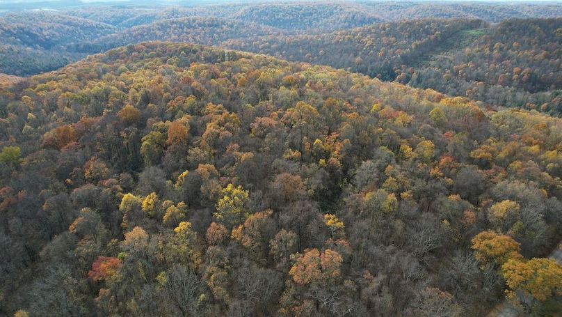 dji_fly_20251105_122456_904_1762380925936_photo