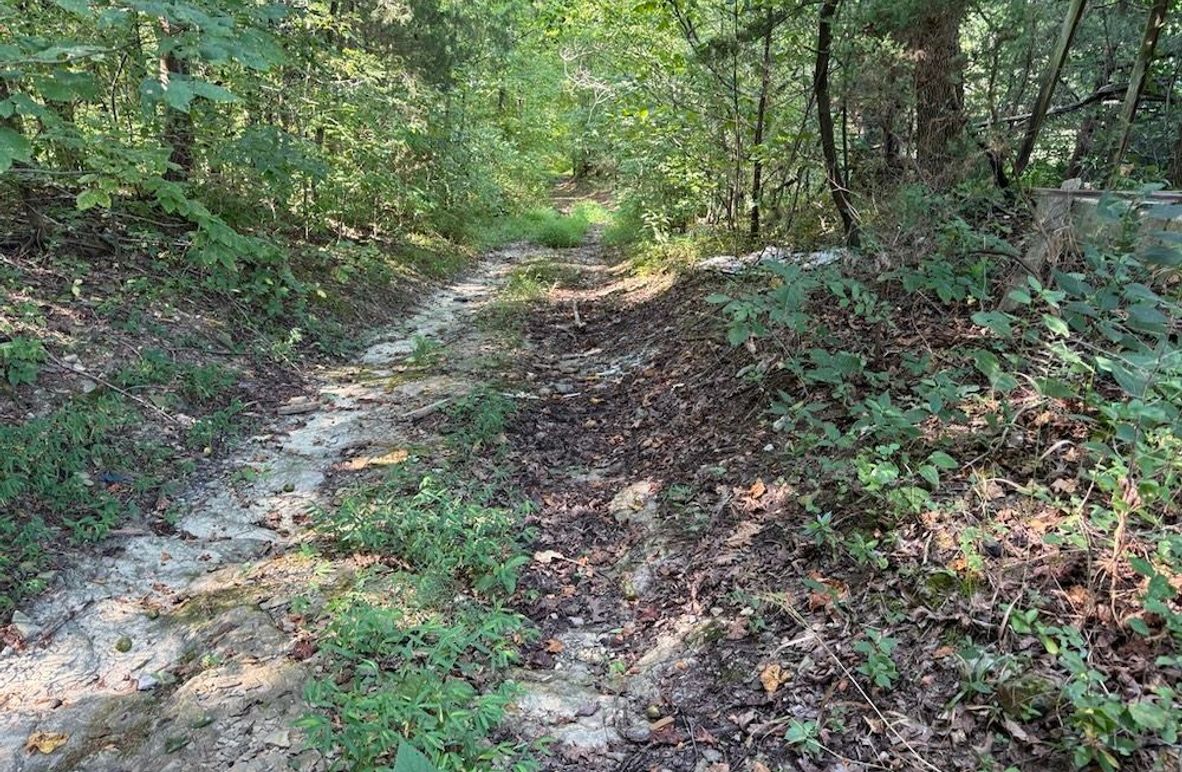 Adair 24.27 Hartsog 4 