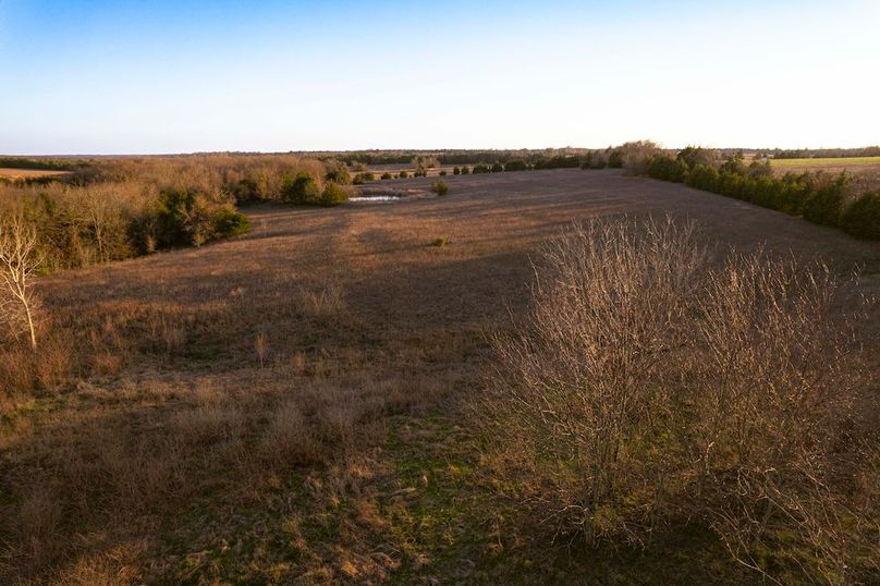 Lamar County 76.5 acres (18 of 23)