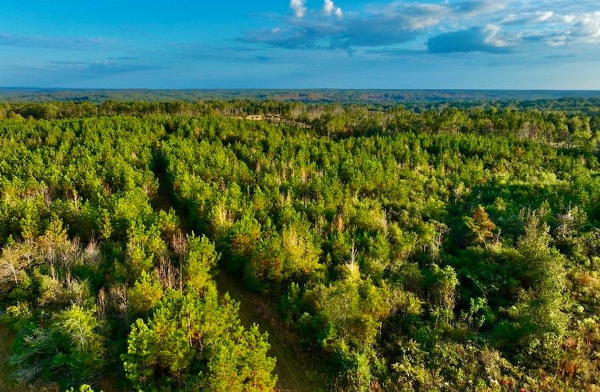 2A5DA4B9-676C-44C4-8A9B-8CE89FDC2E06_1_105_c