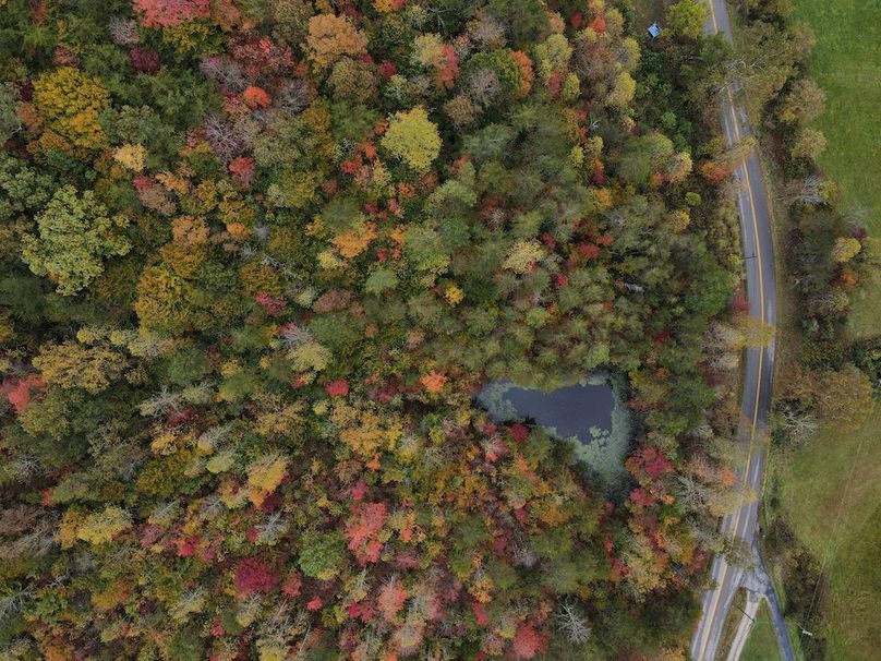 010 Birds Eye view over the pond 