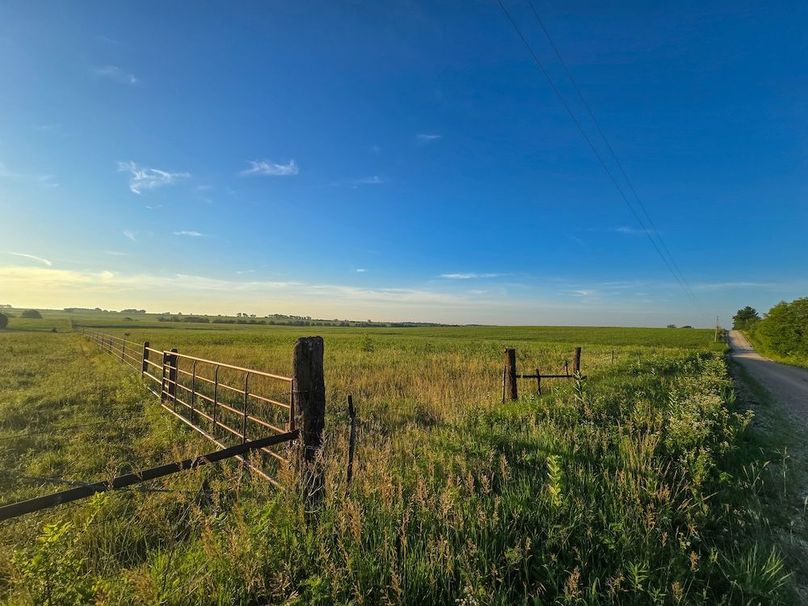 Copy of 20250625_064526