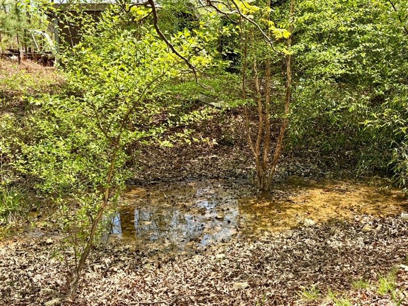 62BFA67B-2696-4513-8EEF-EB789E5B398A_1_105_c-2