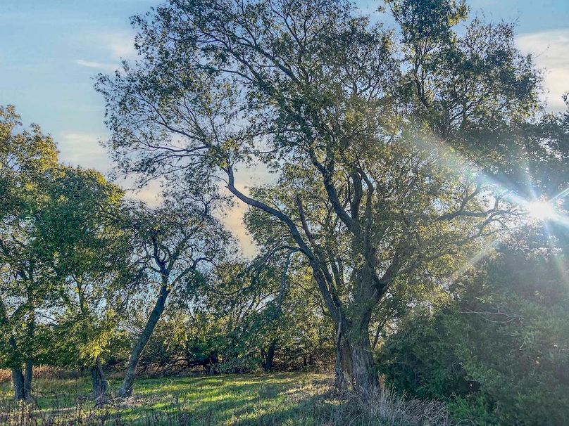 Hunt County- 44.51 acres (12 of 29)