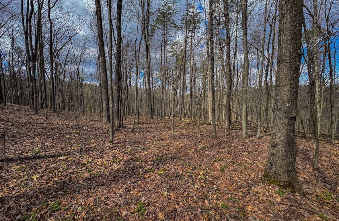 Wirt, WV 62.5 AC Full-06