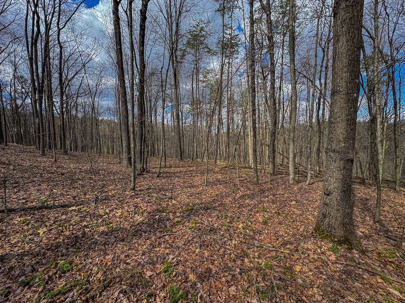 Wirt, WV 62.5 AC Full-06