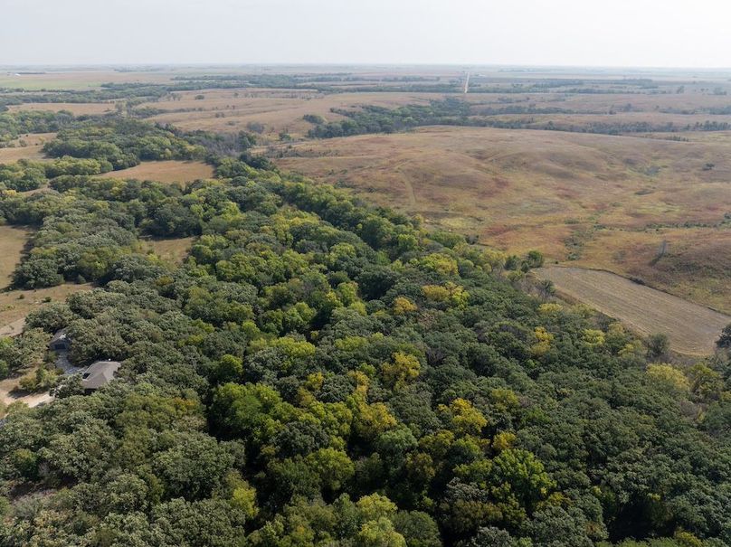 20240913-DJI_20240913105512_0118_D