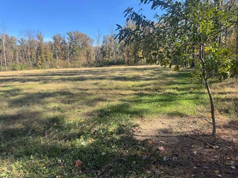 jeff 5020251111_0317