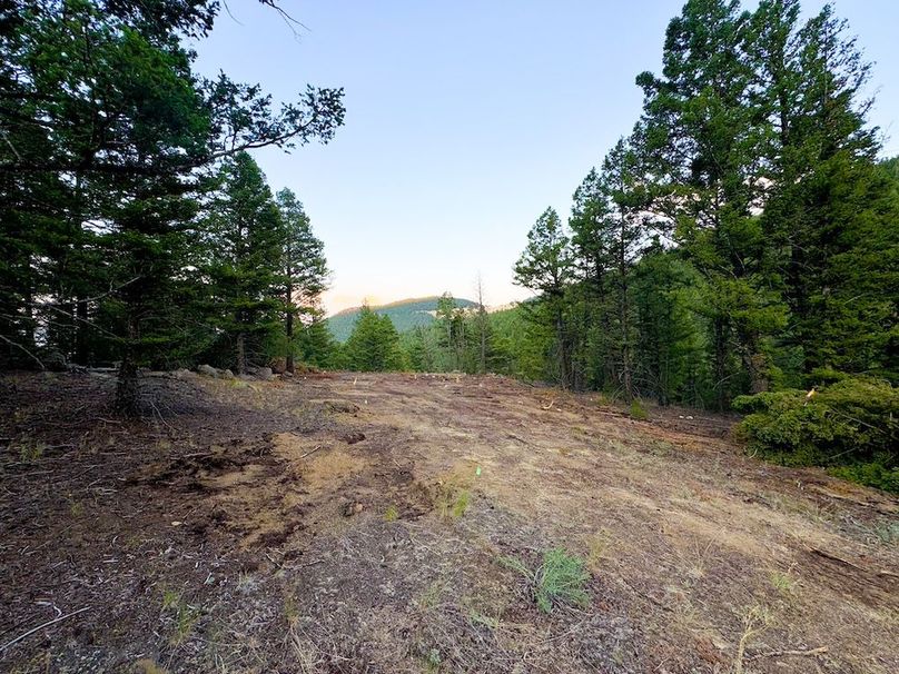 Copy of 20240711-IMG_0802