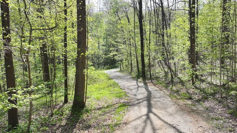 dji_fly_20260423_164206_0257_1776977090353_photo