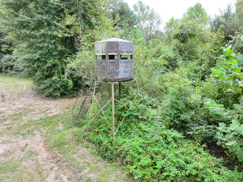 dji_fly_20250924_094526_0535_1758726284893_photo