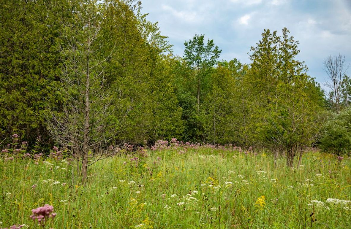 Oceana 80 132nd Ave-5