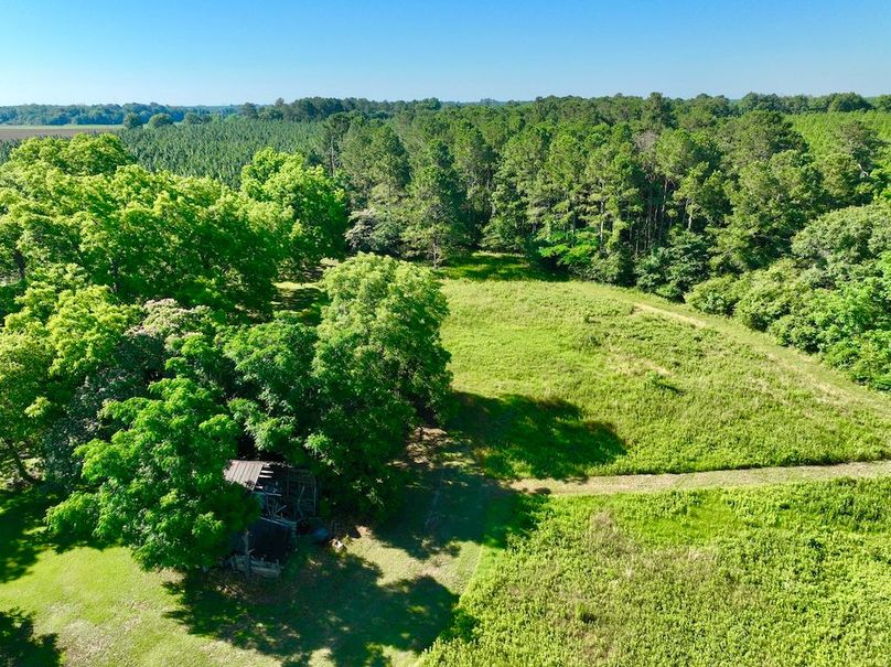 dji_fly_20240521_094332_366_1716299361877_photo