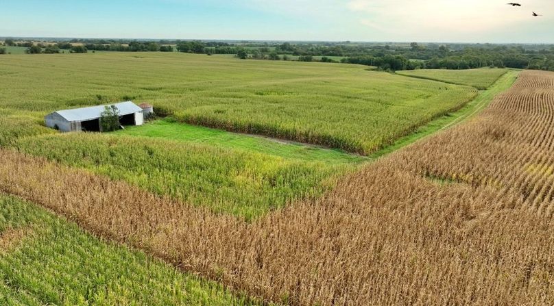 Screenshot 2025-09-05 at 1.56.31 PM