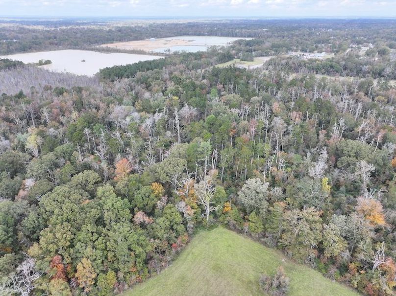 dji_fly_20251118_121210_0722_1763560720903_photo