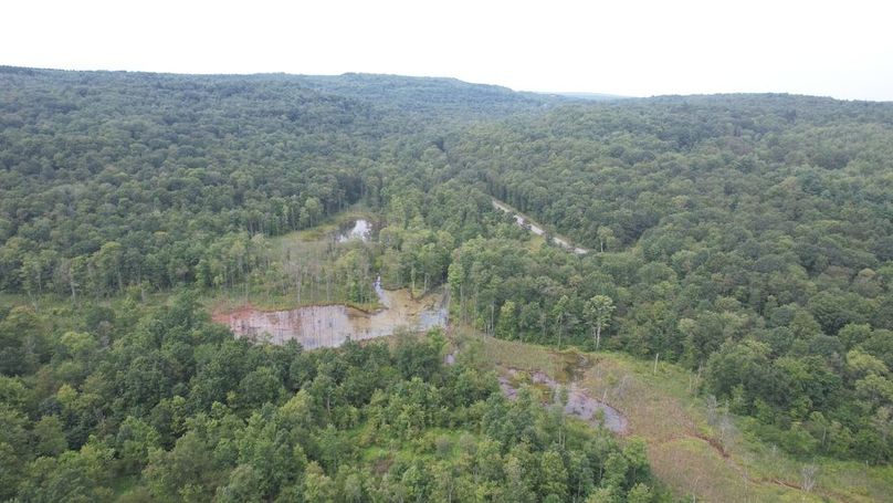 dji_fly_20250804_152038_474_1754355846065_photo