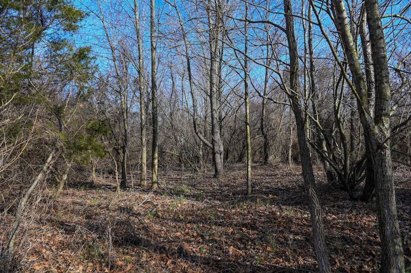 vandalia 450 (2)-1710