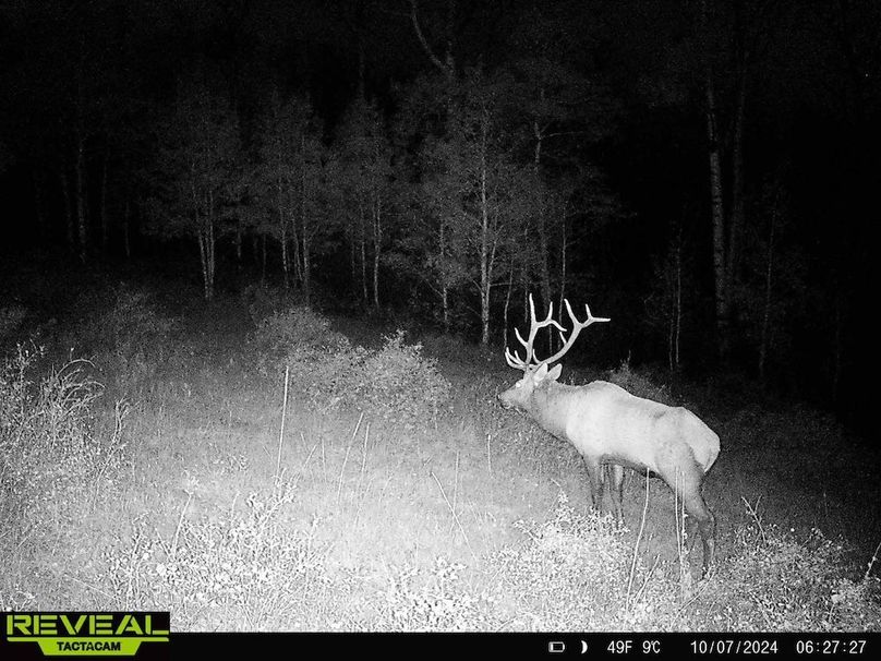 Copy of 864049052055672-10-4-10072024062728-HD-W1001357 (1)