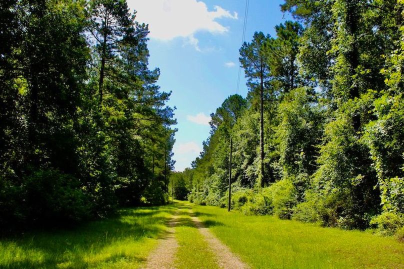 1FC01C14-19DE-4B25-ADDF-0BB64392CC2F_1_201_a