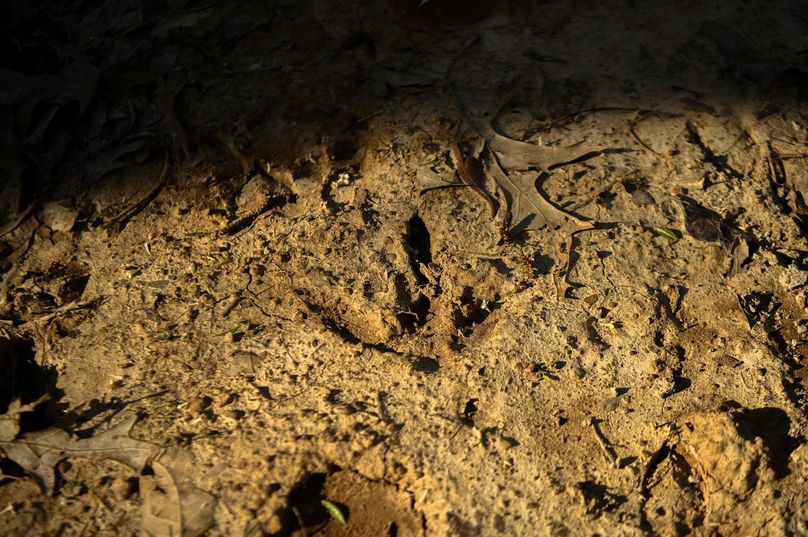 vandalia 450 (2)-2452