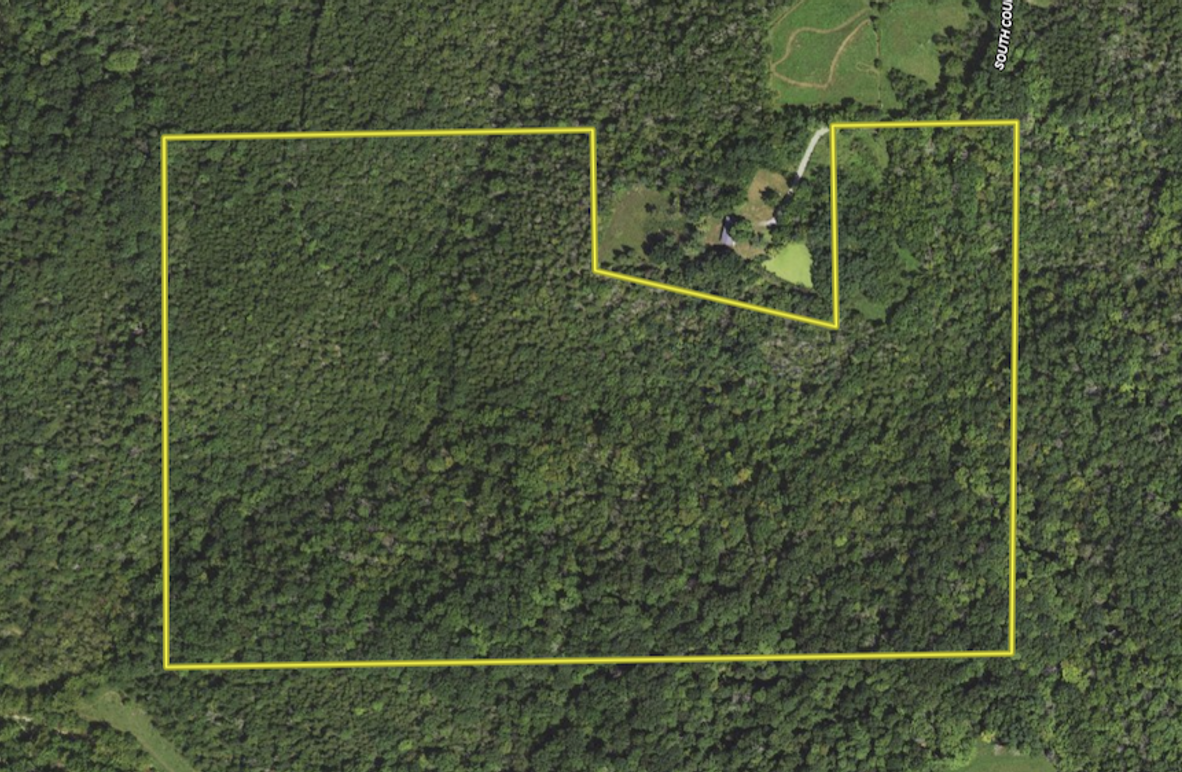 Screenshot 2025-03-07 182804