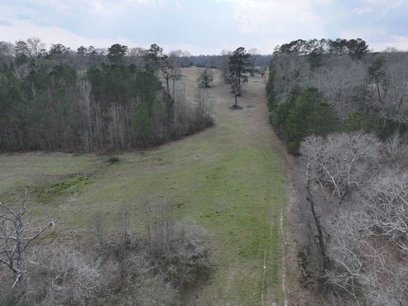 dji_fly_20260220_140952_0265_1771638830709_photo