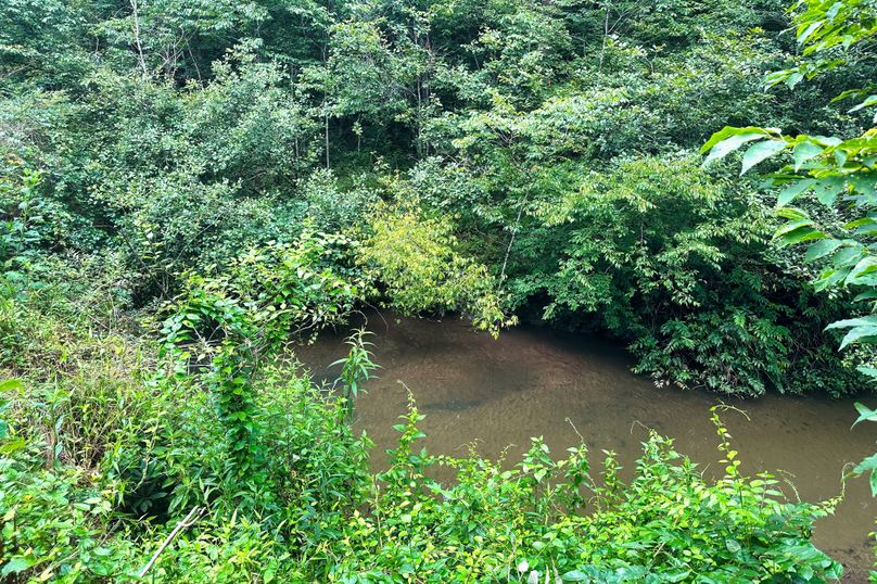 04 Gap Creek 02