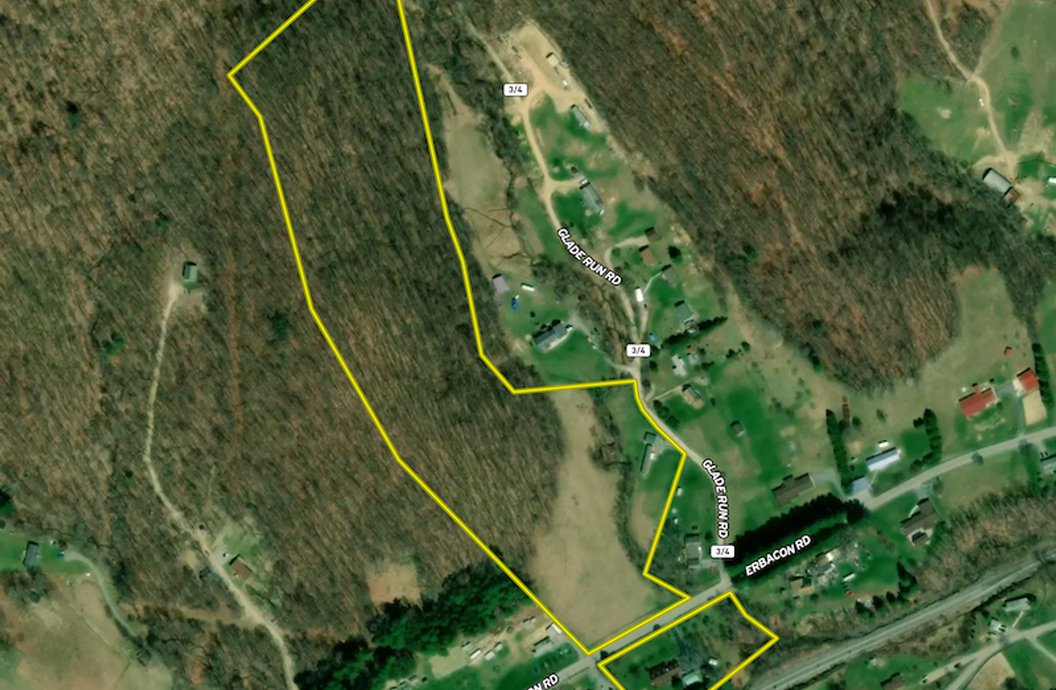 Screenshot 2024-08-02 at 11.02.51 AM