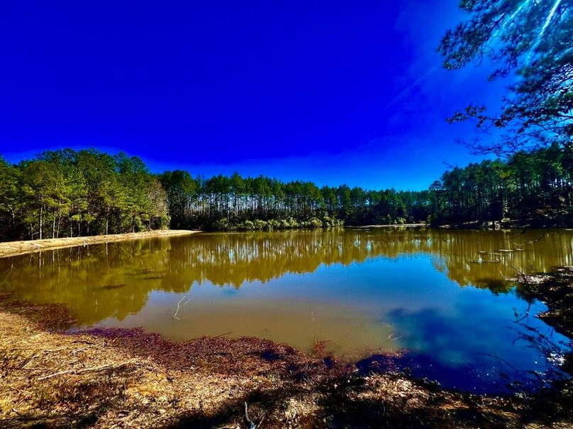 1E8E9CC4-BAAC-4B7B-A5CB-520DBEDA455C_1_201_a