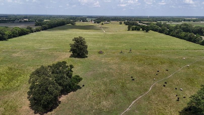 DJI_20250607033814_0008_D