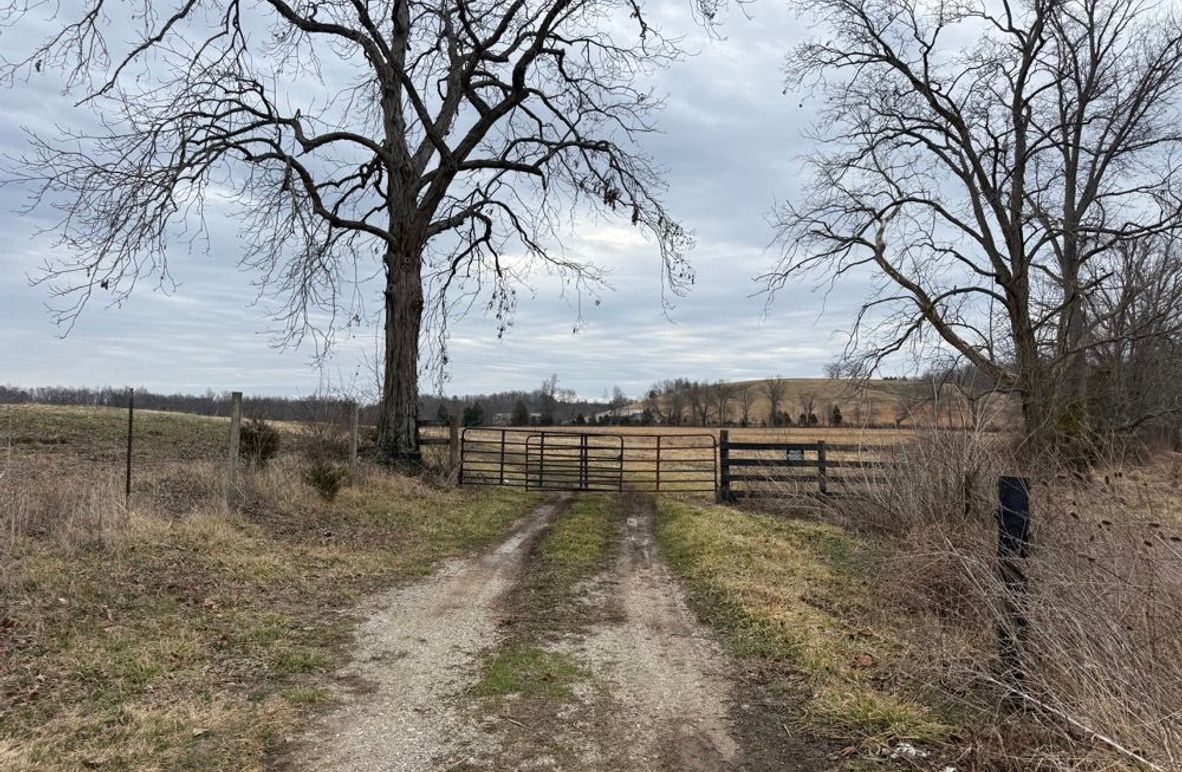 003 the gated entrance along the west boundary and Welch Road