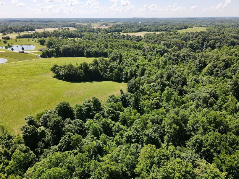 dji_fly_20230601_120016_411_1685635267860_photo