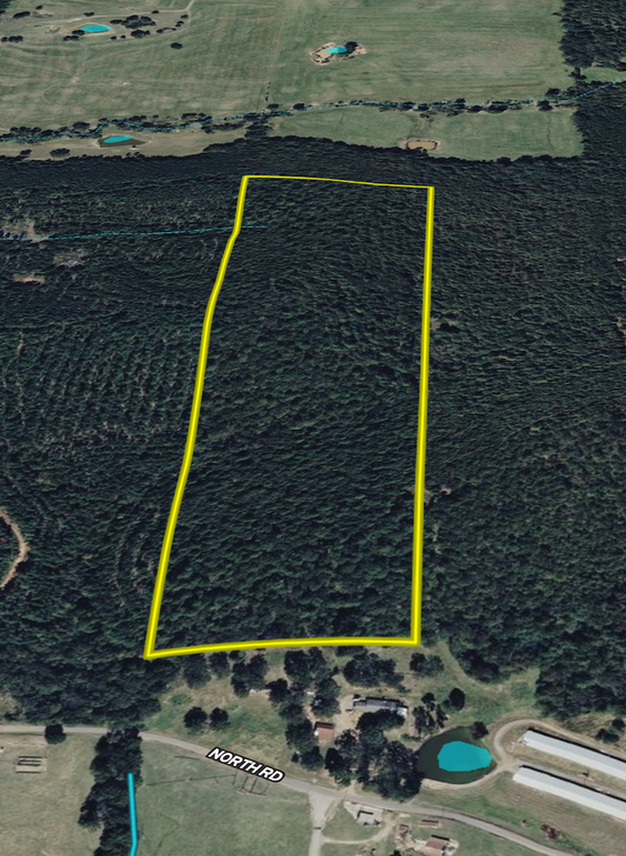 Screenshot 2026-03-31 at 3.59.42 PM