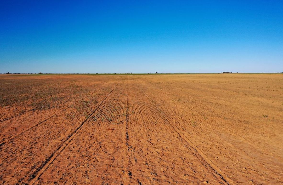 org_0a6a93672d5e3c45_1762729662000