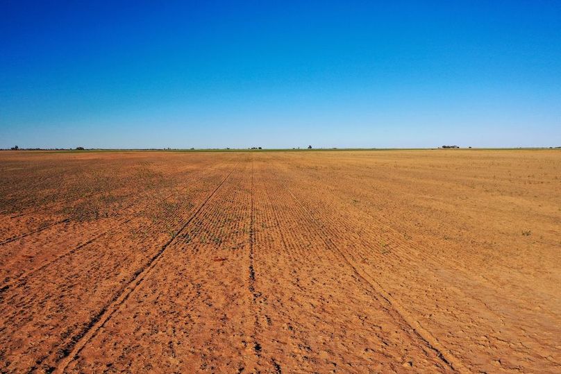 org_0a6a93672d5e3c45_1762729662000